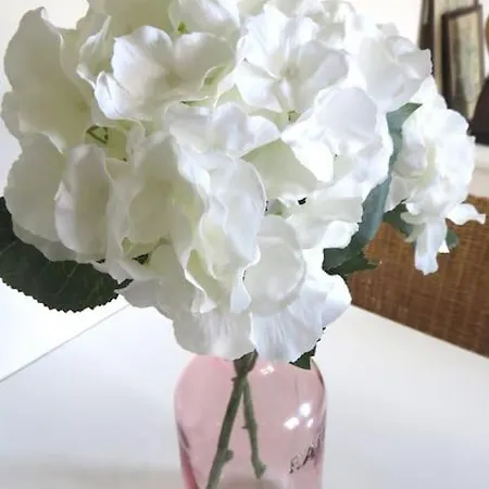 Rosebury 1 Bedroom Free Street Parking-5min From Colmar Casa de Férias