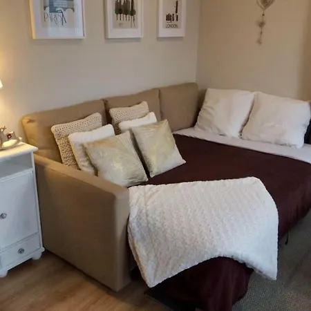 Rosebury 1 Bedroom Free Street Parking-5min From Colmar *