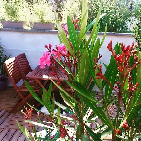 Rosebury 1 Bedroom - Terrasse- Free Street Parking * Wintzenheim