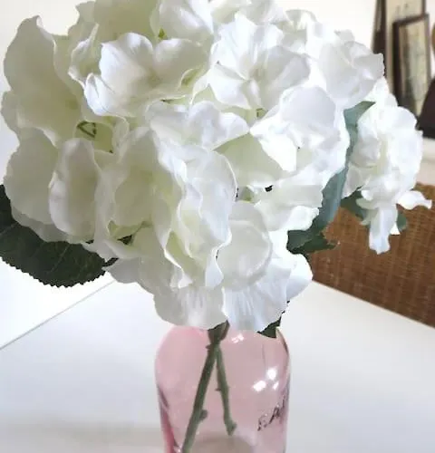 Rosebury 1 Bedroom Free Street Parking-5min From Colmar Holiday home