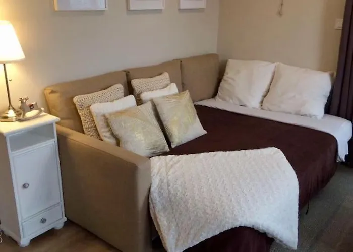 Rosebury 1 Bedroom Free Street Parking-5min From Colmar *