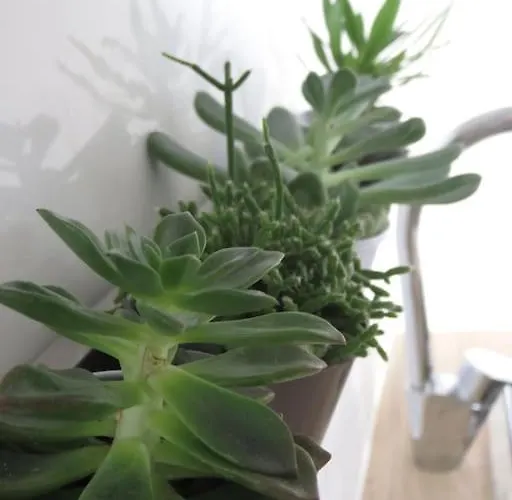 Rosebury 1 Bedroom Free Street Parking-5min From Colmar Holiday home Wintzenheim