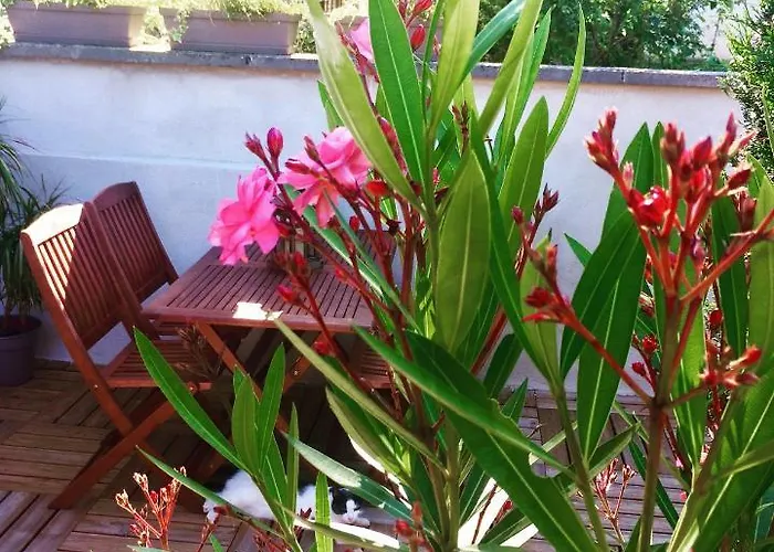 Rosebury 1 Bedroom Free Street Parking-5min From Colmar * Wintzenheim